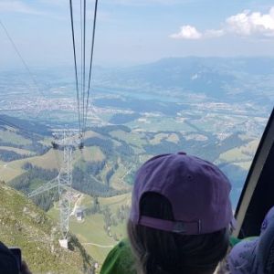 20180718_155246.jpg
