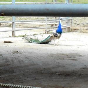 DSCN1288.JPG