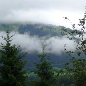 DSC00422.JPG