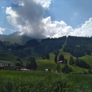IMG_20180709_124623.jpg
