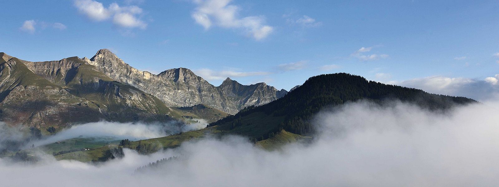 La Gruyère