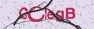 Code captcha