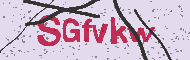 Ungültiger Sicherheitscode