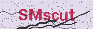 Code captcha